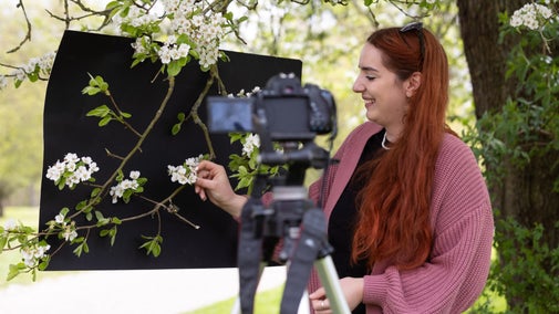 A film shoot about a blossom tree takes place at Brockhampton in Herefordshire